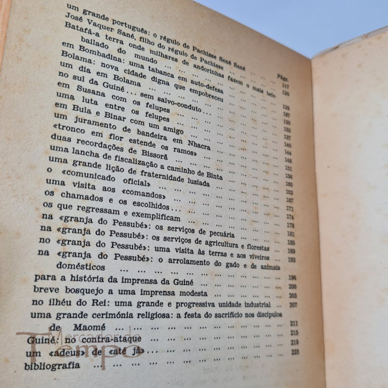Guiné 1965 : Contra-ataque, Amândio César