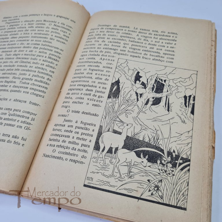 Nas terras de Moçambique contos missionáros, 1944