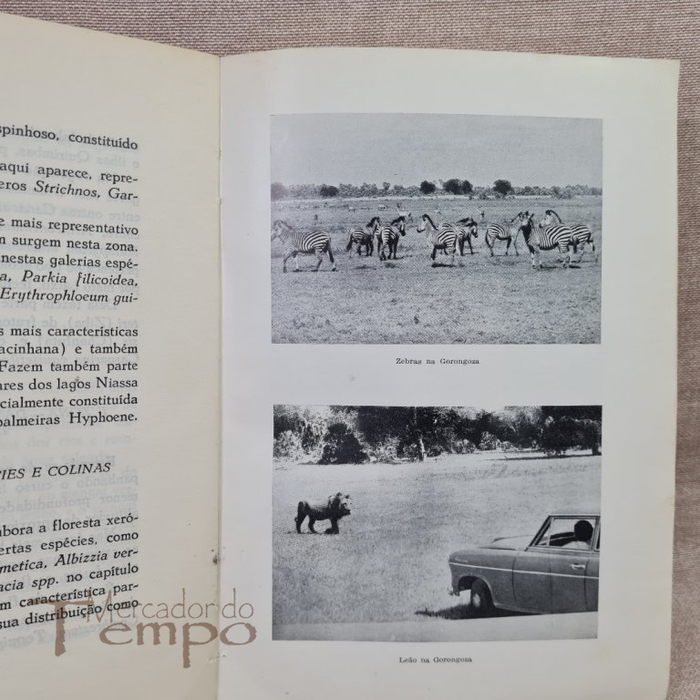 Pequena Monografia de Moçambique - 1961
