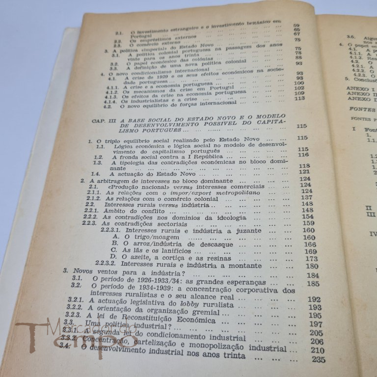 O Estado Novo nos anos 30, 1928-1938, Fernando Rosas
