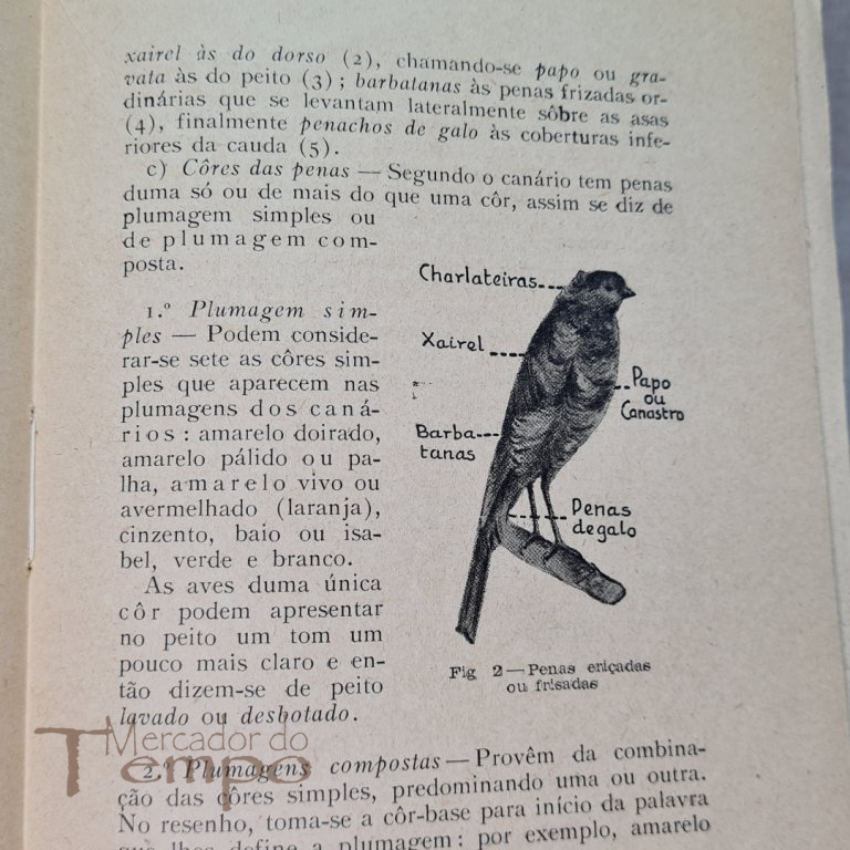 Criação de Canários e seus Hibridos - Joaquim Pratas - 1941
