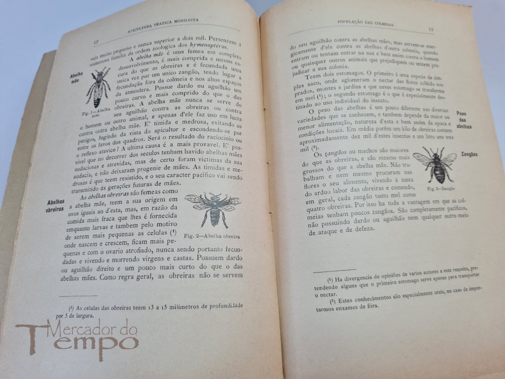 Apicultura Pratica Mobilista - José Nunes da Matta 1915