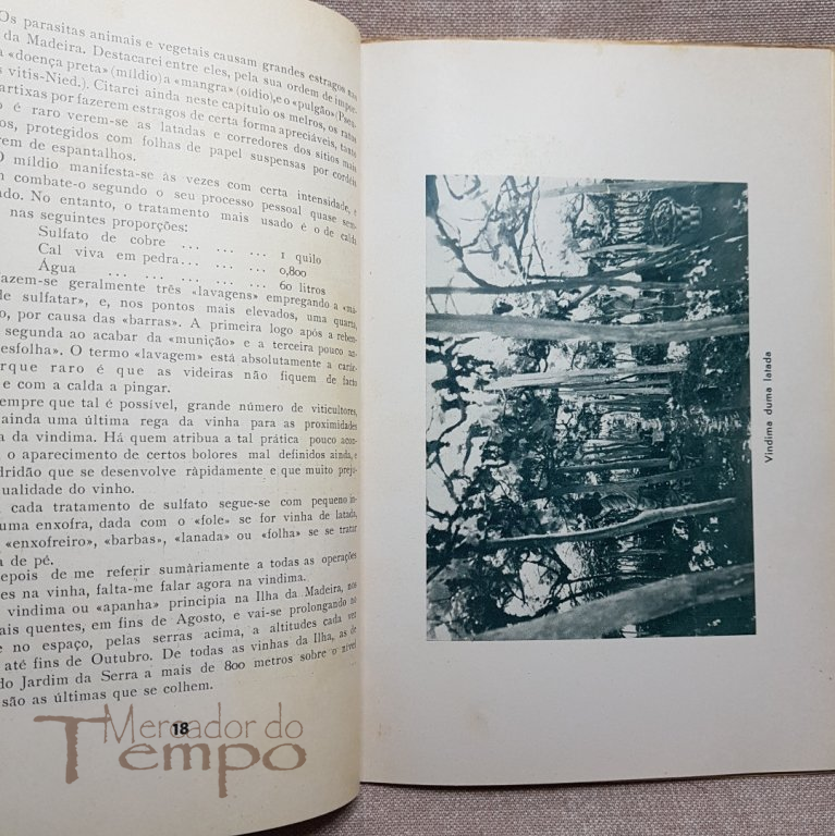 Subsidios para o estudo da Vinha e do Vinho na região da Madeira, 1953