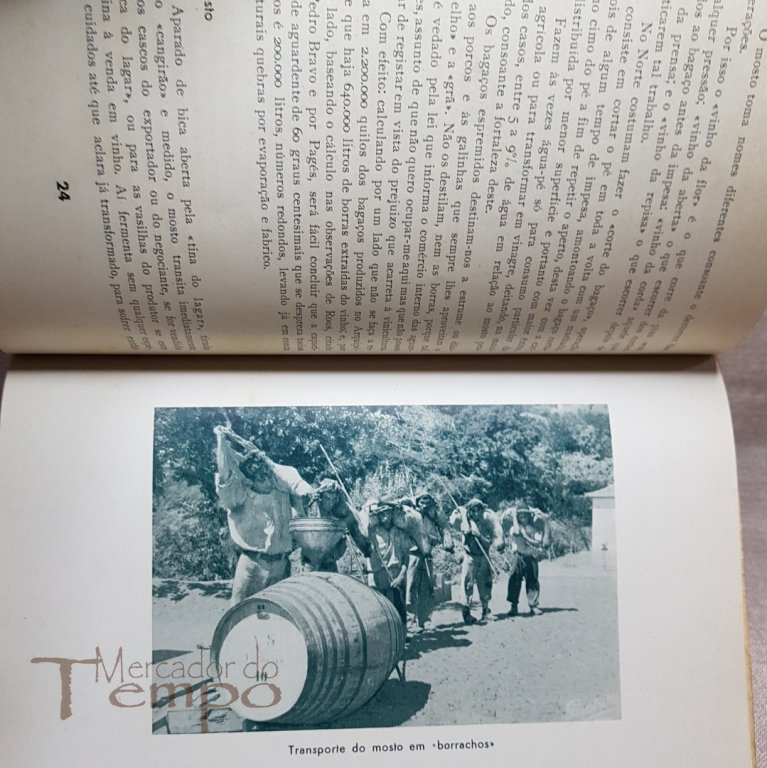 Subsidios para o estudo da Vinha e do Vinho na região da Madeira, 1953