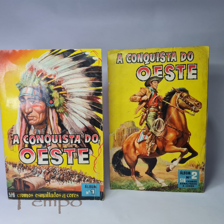 Conjunto de 2 Cadernetas 