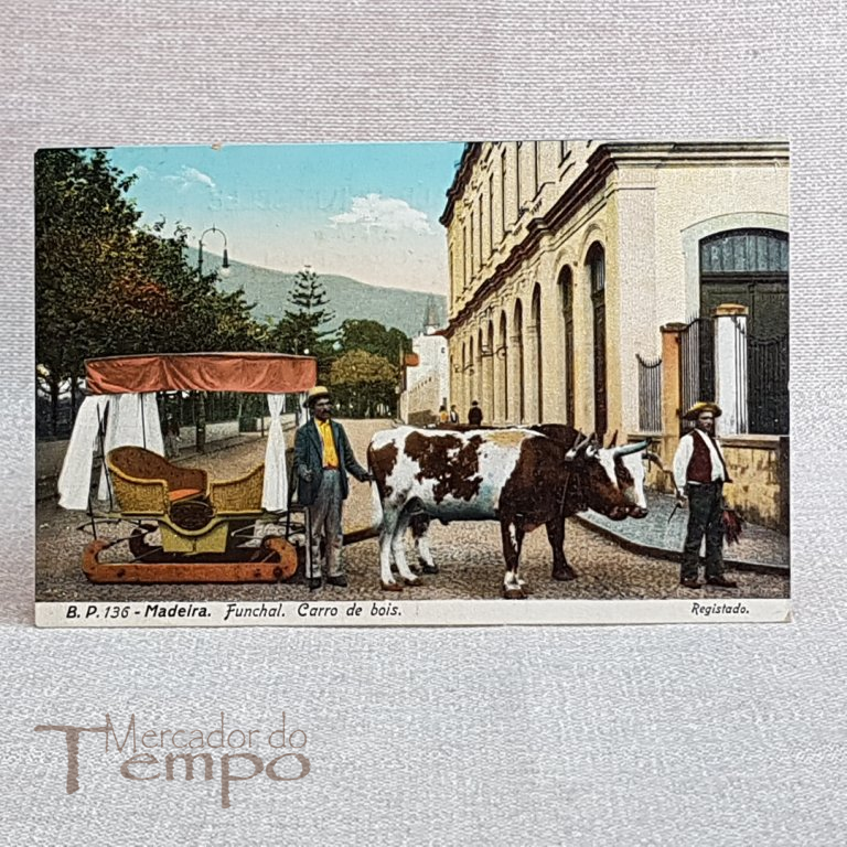 Postal antigo Madeira Funchal Carro de Bois
