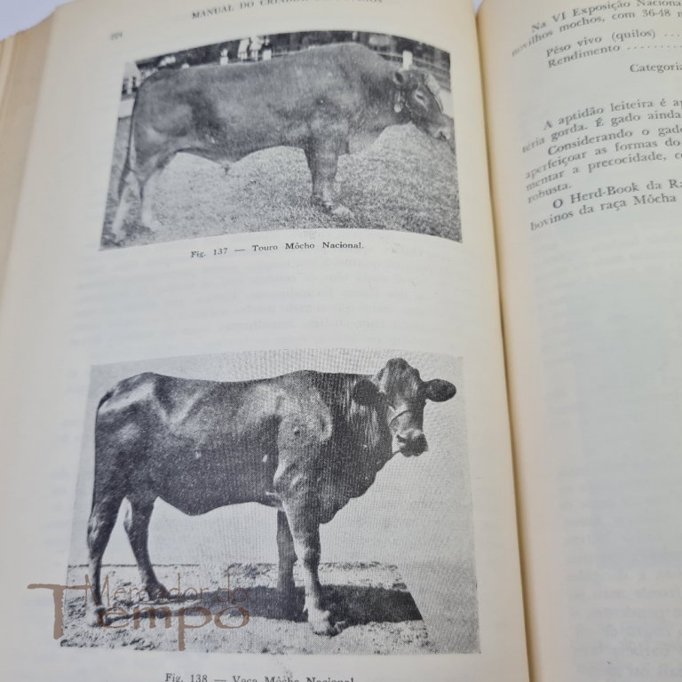 Manual do Criador de Bovinos, Nicolau Athanassof, 1953