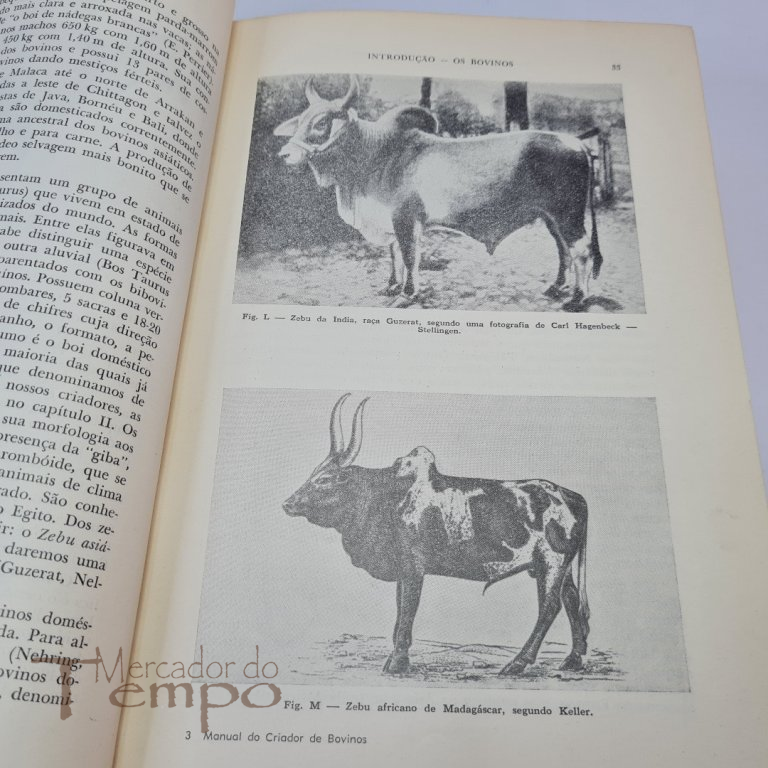 Manual do Criador de Bovinos, Nicolau Athanassof, 1953