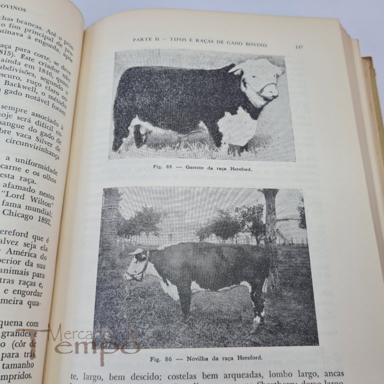 Manual do Criador de Bovinos, Nicolau Athanassof, 1953