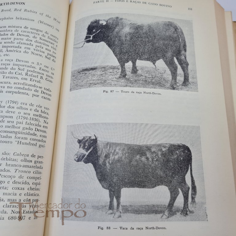Manual do Criador de Bovinos, Nicolau Athanassof, 1953